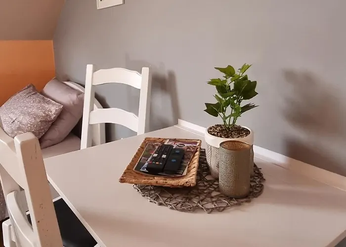 Apartmaji Medved, Brezplacno Parkiranje 아파트 류블랴나